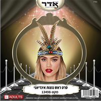 סרט ראש 6 נוצות עם יהלום לאינדיאנית בשקית PVC עם כארד / 6 יחידות במארז