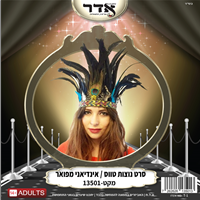 סרט ראש מפואר נוצות ארוכות לטווס לאינדיאנית בשקית PVC עם כארד / 6 יחידות במארז