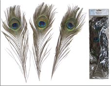 נוצות טווס 30 ס"מ 3 יחידות בשקית PVC עם כארד / 6 יחידות במארז