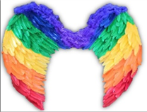 כנפיים מלאך צבעוני 60*45 בשקית PVC עם כארד / 6 יחידות במארז