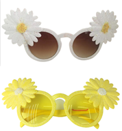 משקפים חמנייה על כארד/ 12 יחידות במארז