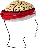 כובע מוח פתוח/ 6 יחידות במארז