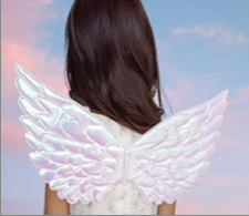 כנפיים מלאכית לבן על כארד תלייה/ 6 יחידות במארז