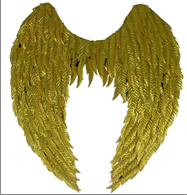 כנפיים מלאכית זהב בשקית PVC עם כארד/ 6 יחידות במארז