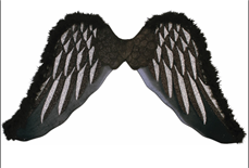 כנפיים מלאכית שחור 81x47 ס"מ בשקית PVC עם כארד/ 6 יחידות במארז