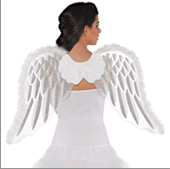 כנפיים מלאכית לבן 81x47 ס"מ בשקית PVC עם כארד/ 6 יחידות במארז