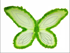 כנפיים פרפר ירוק מפוארות עם מסגרת פרווה בשקית PVC עם כארד/ 6 יחידות במארז