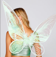 כנפיים טינקרבל מעוצבות בשקית עם כארד/ 6 יחידות במארז