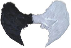 כנפי נוצות שחור לבן 60 ס"מ בשקית PVC עם כארד  / 6 יח' במארז