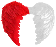 כנפי נוצות אדום לבן 80 ס"מ בשקית PVC עם כארד  / 6 יח' במארז