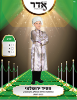 חסיד ירושלמי