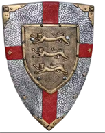 מגן רומאי מחומר PU איכותי גודל 54X34 ס"מ/ 2 יחידות במארז