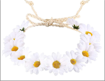 כתר חמניות לבן על כארד/ 6 יחידות במארז