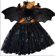 סט לעטלף כולל כנפיים חצאית קשת ושרביט עטלפים/ 6 יחידות במארז