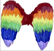 כנפיים מלאכית צבעוני 50x45 ס"מ בשקית PVC עם כארד/ 6 יחידות במארז