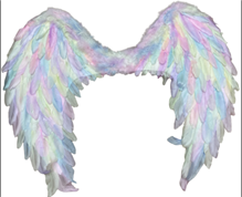 כנפיים חד קרן 80x60 ס"מ בשקית PVC עם כארד/ 6 יחידות במארז