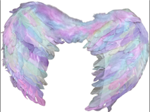 כנפיים חד קרן 55x40 ס"מ בשקית PVC עם כארד/ 6 יחידות במארז