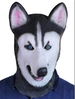 מסכה לאטקס כלב זאב עם כארד /3 יחידות במארז