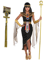 שרביט מקל קלאופטרה על כארד/ 6 יחידות במארז