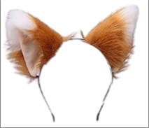 קשת אוזני שועל על כארד/ 6 יחידות במארז