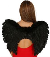 כנפי נוצות שחור 45 ס"מ בשקית PVC עם כארד  / 6 יחידות במארז