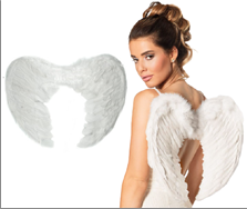 כנפי נוצות לבן 45 ס"מ בשקית PVC עם כארד  / 6 יחידות במארז