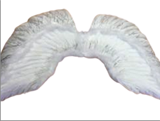 כנפי נוצות לבן 1.10 ס"מ בשקית PVC עם כארד  / 6 יחידות במארז