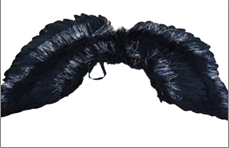 כנפי נוצות שחור 1.10 ס"מ בשקית PVC עם כארד  / 6 יחידות במארז