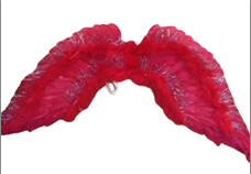 כנפי נוצות אדום 1.10 ס"מ בשקית PVC עם כארד  / 6 יחידות במארז
