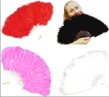 מניפה נוצות מיקס צבעים בשקית PVC עם כארד/ 12 יחידות במארז