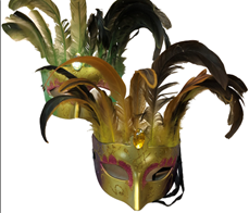 מסכה ונציה נוצות מפוארת בשקית PVC עם כארד / 12 יחידות במארז